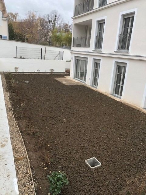 Engazonnement — gazon de placage — photo 11