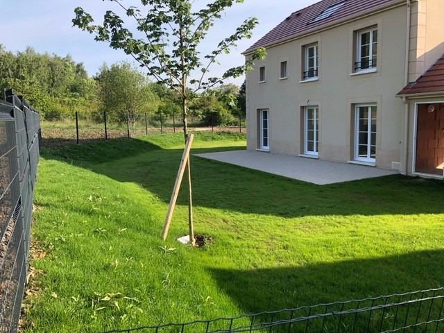 Engazonnement — gazon de placage — photo 15