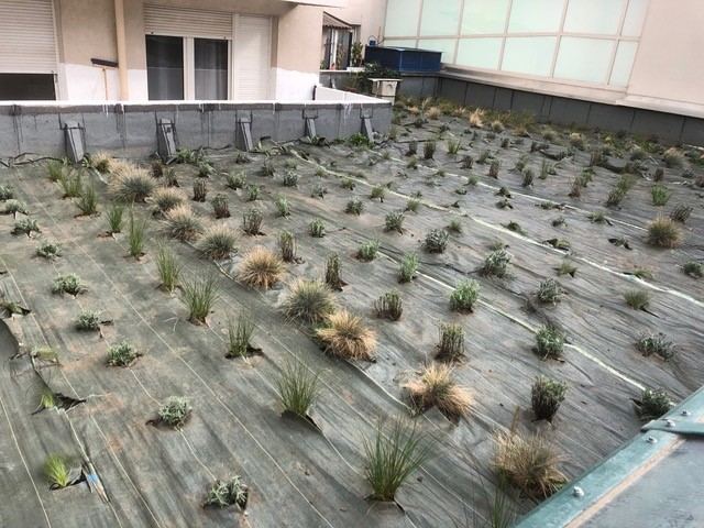 Nos plantations en images — photo 5