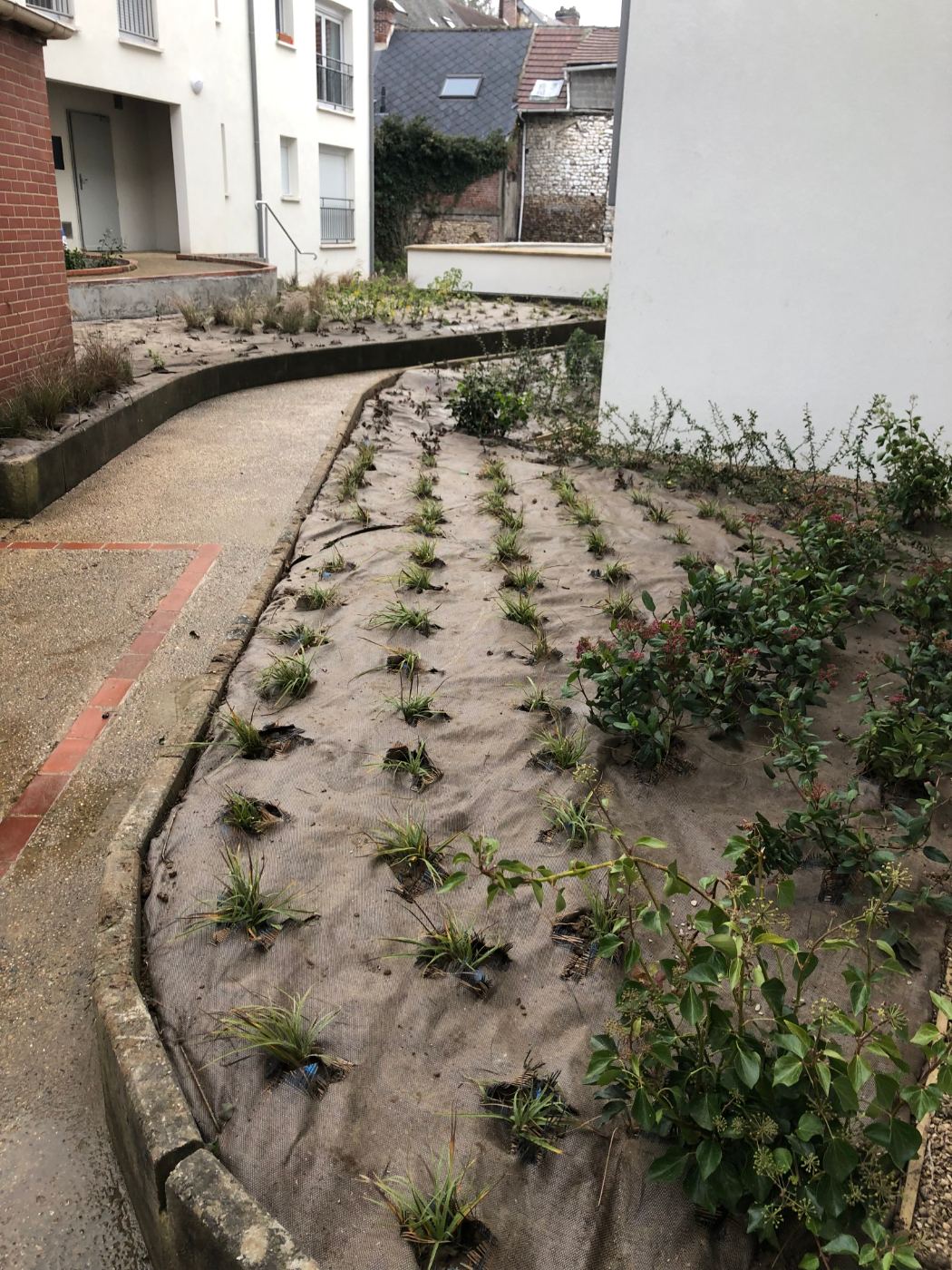 Nos plantations en images — photo 7