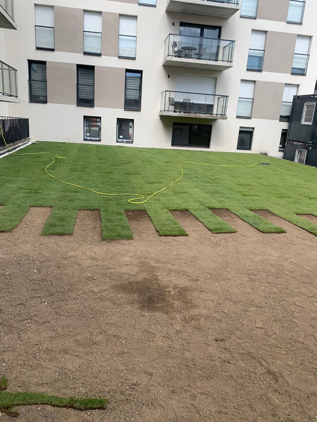 Nos plantations en images — photo 9