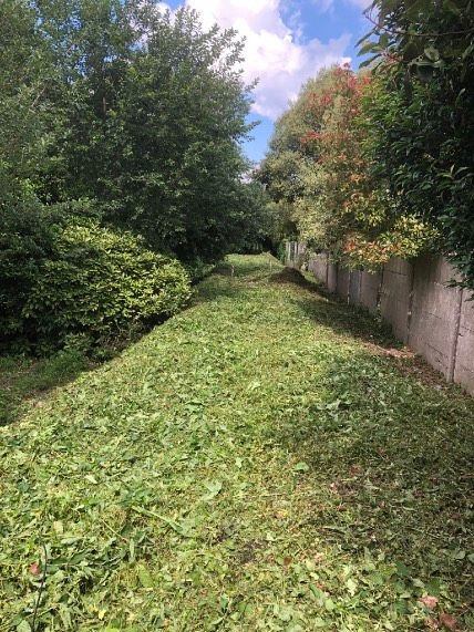 Débroussaillage — Après