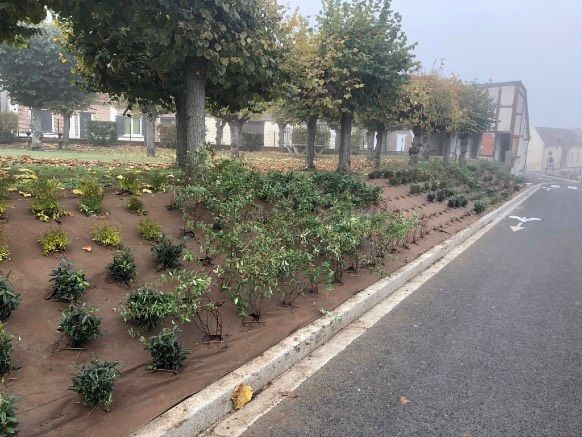 Nos plantations en images — photo 1
